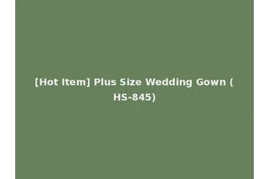 [Hot Item] Plus Size Wedding Gown (HS-845)