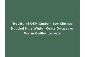 [Hot Item] OEM Custom Boy Clothes Hooded Kids Winter Coats Outwears Warm Quilted Jackets