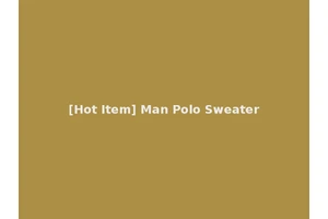 [Hot Item] Man Polo Sweater