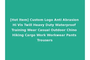 [Hot Item] Custom Logo Anti Abrasion Hi Vis Twill Heavy Duty Waterproof Training Wear Casual Outdoor Chino Hiking Cargo Work Workwear Pants Trousers