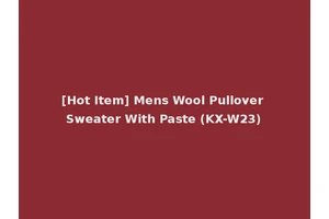 [Hot Item] Mens Wool Pullover Sweater With Paste (KX-W23)