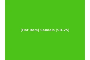 [Hot Item] Sandals (SD-25)