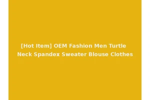 [Hot Item] OEM Fashion Men Turtle Neck Spandex Sweater Blouse Clothes