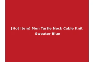 [Hot Item] Men Turtle Neck Cable Knit Sweater Blue