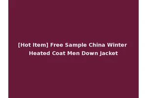 [Hot Item] Free Sample China Winter Heated Coat Men Down Jacket