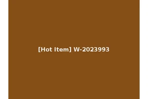[Hot Item] W-2023993