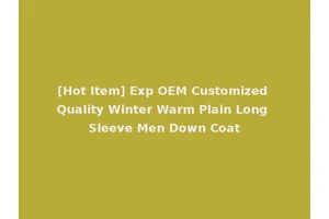 [Hot Item] Exp OEM Customized Quality Winter Warm Plain Long Sleeve Men Down Coat