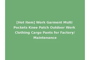 [Hot Item] Work Garment Multi Pockets Knee Patch Outdoor Work Clothing Cargo Pants for Factory/Maintenance
