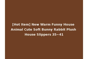 [Hot Item] New Warm Funny House Animal Cute Soft Bunny Rabbit Plush House Slippers 35~41