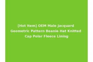 [Hot Item] OEM Male Jacquard Geometric Pattern Beanie Hat Knitted Cap Polar Fleece Lining