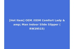 [Hot Item] OEM /ODM Comfort Lady &amp; Man Indoor Slide Slipper (RW29515)
