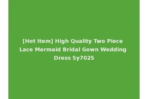 [Hot Item] High Quality Two Piece Lace Mermaid Bridal Gown Wedding Dress Sy7025