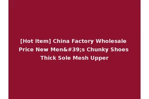 [Hot Item] China Factory Wholesale Price New Men's Chunky Shoes Thick Sole Mesh Upper
