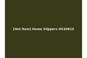 [Hot Item] Home Slippers HS20810