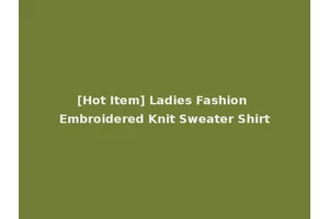[Hot Item] Ladies Fashion Embroidered Knit Sweater Shirt