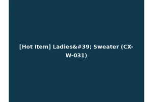 [Hot Item] Ladies' Sweater (CX-W-031)