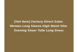 [Hot Item] Factory Direct Sales Women Long Sleeve High Waist Slim Evening Sheer Tulle Long Dress