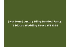 [Hot Item] Luxury Bling Beaded Fancy 2 Pieces Wedding Dress W18392