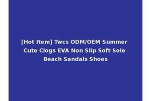 [Hot Item] Twcs ODM/OEM Summer Cute Clogs EVA Non Slip Soft Sole Beach Sandals Shoes