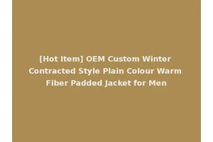 [Hot Item] OEM Custom Winter Contracted Style Plain Colour Warm Fiber Padded Jacket for Men