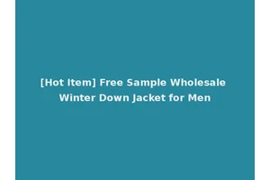 [Hot Item] Free Sample Wholesale Winter Down Jacket for Men