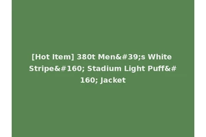 [Hot Item] 380t Men's White Stripe  Stadium Light Puff  Jacket