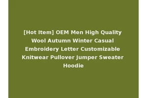 [Hot Item] OEM Men High Quality Wool Autumn Winter Casual Embroidery Letter Customizable Knitwear Pullover Jumper Sweater Hoodie