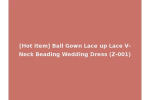 [Hot Item] Ball Gown Lace up Lace V-Neck Beading Wedding Dress (Z-001)