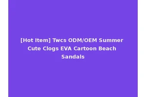 [Hot Item] Twcs ODM/OEM Summer Cute Clogs EVA Cartoon Beach Sandals