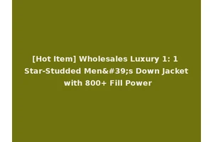 [Hot Item] Wholesales Luxury 1: 1 Star-Studded Men's Down Jacket with 800+ Fill Power