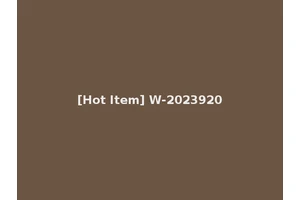 [Hot Item] W-2023920