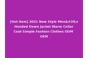 [Hot Item] 2021 New Style Men's Hooded Down Jacket Warm Collar Coat Simple Fashion Clothes ODM OEM
