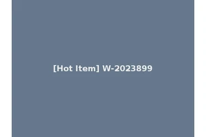 [Hot Item] W-2023899