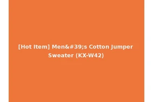 [Hot Item] Men's Cotton Jumper Sweater (KX-W42)