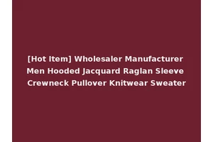 [Hot Item] Wholesaler Manufacturer Men Hooded Jacquard Raglan Sleeve Crewneck Pullover Knitwear Sweater