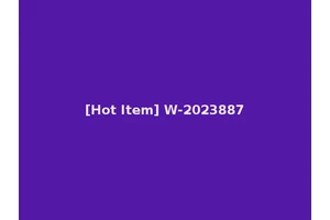 [Hot Item] W-2023887