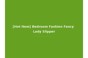 [Hot Item] Bedroom Fashion Fancy Lady Slipper