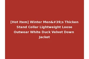 [Hot Item] Winter Men's Thicken Stand Collar Lightweight Loose Outwear White Duck Velvet Down Jacket
