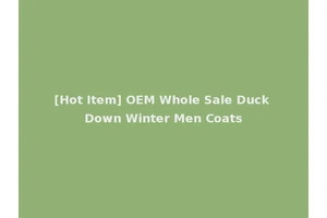 [Hot Item] OEM Whole Sale Duck Down Winter Men Coats