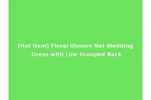 [Hot Item] Floral Illusion Net Wedding Dress with Low Scooped Back
