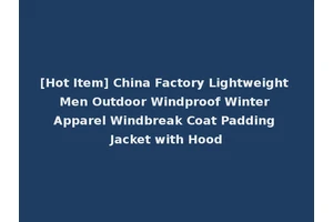 [Hot Item] China Factory Lightweight Men Outdoor Windproof Winter Apparel Windbreak Coat Padding Jacket with Hood