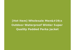 [Hot Item] Wholesale Men's Outdoor Waterproof Winter Super Quality Padded Parka Jacket