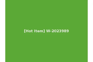[Hot Item] W-2023989