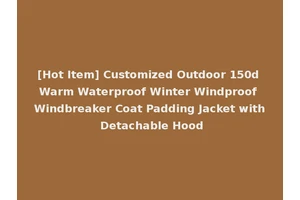 [Hot Item] Customized Outdoor 150d Warm Waterproof Winter Windproof Windbreaker Coat Padding Jacket with Detachable Hood
