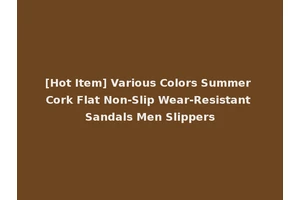 [Hot Item] Various Colors Summer Cork Flat Non-Slip Wear-Resistant Sandals Men Slippers
