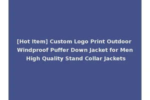 [Hot Item] Custom Logo Print Outdoor Windproof Puffer Down Jacket for Men High Quality Stand Collar Jackets