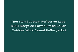 [Hot Item] Custom Reflective Logo RPET Recycled Cotton Stand Collar Outdoor Work Casual Puffer Jacket