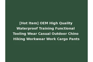 [Hot Item] OEM High Quality Waterproof Training Functional Tooling Wear Casual Outdoor Chino Hiking Workwear Work Cargo Pants