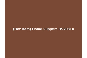 [Hot Item] Home Slippers HS20818