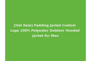 [Hot Item] Padding Jacket Custom Logo 100% Polyester Outdoor Hooded Jacket for Men